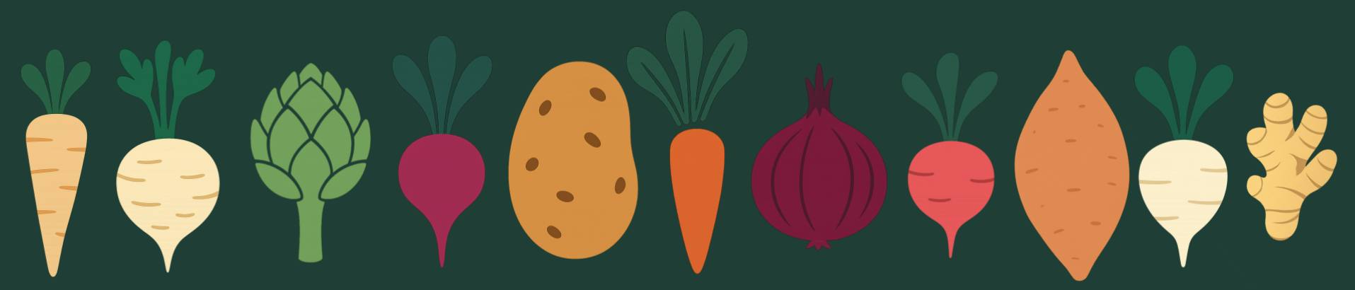 Illustrated Root Vegetables